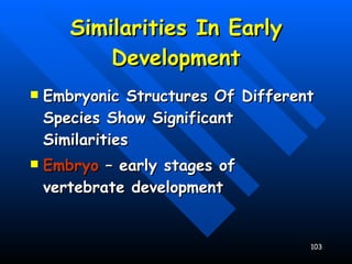 Similarities In Early Development Embryonic Structures Of Different Species Show Significant Similarities Embryo  – early stages of vertebrate development 