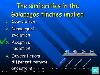 The similarities in the Galapagos finches implied Coevolution Convergent evolution Adaptive radiation Descent from different remote ancestors 20 1 2 3 4 5 6 7 8 9 10 11 12 13 14 15 16 17 18 19 20 21 22 23 24 25 26 27 28 29 30 