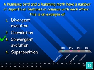 A humming bird and a humming moth have a number of superficial features in common with each other.  This is an example of Divergent evolution Coevolution Convergent evolution Superposition  20 1 2 3 4 5 6 7 8 9 10 11 12 13 14 15 16 17 18 19 20 21 22 23 24 25 26 27 28 29 30 