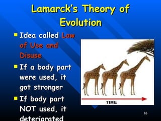 Lamarck’s Theory of Evolution Idea called  Law of Use and Disuse If a body part were used, it got stronger If body part NOT used, it deteriorated 