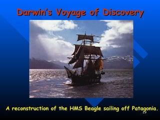 Darwin’s Voyage of Discovery A reconstruction of the HMS Beagle sailing off Patagonia. 