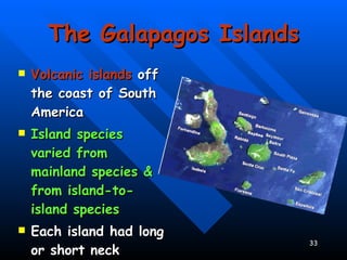 The Galapagos Islands Volcanic islands  off the coast of South America Island species varied from mainland species & from island-to-island species Each island had long or short neck tortoises 