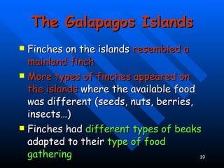 The Galapagos Islands Finches on the islands  resembled a mainland finch More types of finches appeared on the islands  where the available food was different (seeds, nuts, berries, insects…) Finches had  different types of beaks  adapted to their  type of food gathering 