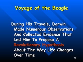 Voyage of the Beagle During His Travels, Darwin Made Numerous Observations And Collected Evidence That Led Him To Propose A  Revolutionary Hypothesis  About The Way Life Changes Over Time 