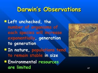 Darwin’s Observations Left unchecked, the  number of organisms of each species will increase exponentially , generation to generation In nature,  populations tend to remain stable  in size Environmental  resources are limited 