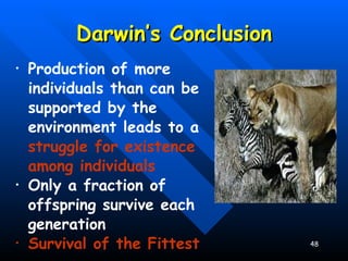 Darwin’s Conclusion Production of more individuals than can be supported by the environment leads to a  struggle for existence among individuals Only a fraction of offspring survive each generation Survival of the Fittest 