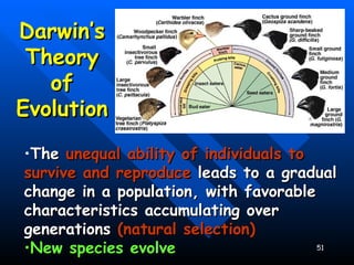 The  unequal ability of individuals to survive and reproduce  leads to a gradual change in a population, with favorable characteristics accumulating over generations  (natural selection) New species evolve Darwin’s Theory of Evolution 