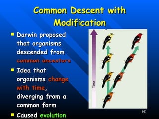 Common Descent with Modification Darwin proposed that organisms descended from  common ancestors Idea that organisms  change with time , diverging from a common form Caused  evolution of new species   