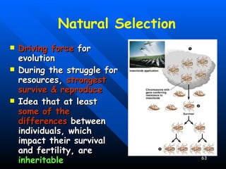 Natural Selection Driving force  for evolution During the struggle for resources,  strongest survive & reproduce Idea that at least  some of the differences  between individuals, which impact their survival and fertility, are  inheritable   . 