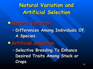 Natural Variation and Artificial Selection Natural Variation Differences Among Individuals Of A Species Artificial Selection Selective Breeding To Enhance Desired Traits Among Stock or Crops 