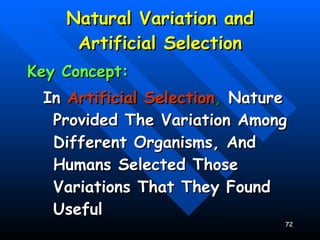 Natural Variation and Artificial Selection Key Concept: In  Artificial Selection ,  Nature Provided The Variation Among Different Organisms, And Humans Selected Those Variations That They Found Useful 