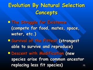 Evolution By Natural Selection Concepts The Struggle for Existence  (compete for food, mates, space, water, etc.) Survival of the Fittest  (strongest able to survive and reproduce) Descent with Modification  (new species arise from common ancestor replacing less fit species) 