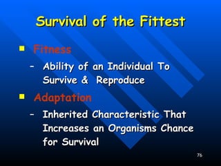Survival of the Fittest Fitness Ability of an Individual To Survive &  Reproduce Adaptation Inherited Characteristic That Increases an Organisms Chance for Survival 