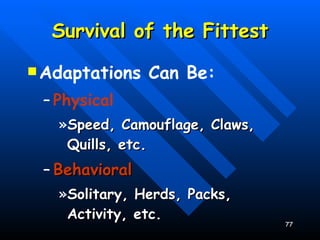 Survival of the Fittest Adaptations Can Be: Physical Speed, Camouflage, Claws, Quills, etc. Behavioral Solitary, Herds, Packs, Activity, etc. 