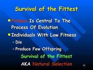Survival of the Fittest Fitness  Is Central To The Process Of Evolution Individuals With Low Fitness Die Produce Few Offspring Survival of the Fittest AKA  Natural Selection 