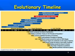 Evolutionary Timeline 