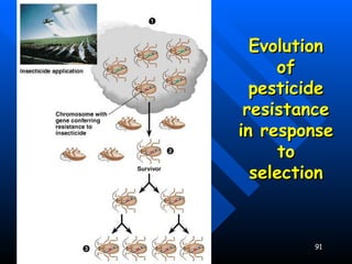 Evolution of pesticide resistance in response to selection 