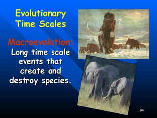 Evolutionary Time Scales Macroevolution:   Long time scale events that create and destroy species. 