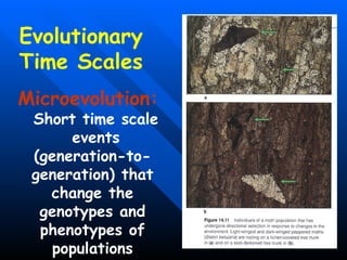 Microevolution: Short time scale  events (generation-to-generation) that change the genotypes and phenotypes of populations Evolutionary Time Scales 