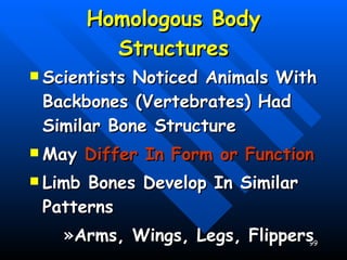 Homologous Body Structures Scientists Noticed Animals With Backbones (Vertebrates) Had Similar Bone Structure May  Differ In Form or Function Limb Bones Develop In Similar Patterns Arms, Wings, Legs, Flippers 