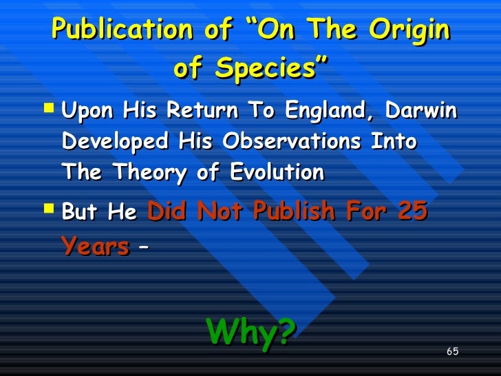 a comparison between the idea of creationism and the theories of evolution Intelligent design vs evolutionary theory: a brief comparison april 19, 2008 by roderick i charles darwin’s theory of evolution, called natural selection, stated that different species originated from shared ancestors, with the differences in the organisms being caused by adaptations to different environments. a comparison between the idea of creationism and the theories of evolution Intelligent design vs evolutionary theory: a brief comparison april 19, 2008 by roderick i charles darwin’s theory of evolution, called natural selection, stated that different species originated from shared ancestors, with the differences in the organisms being caused by adaptations to different environments.