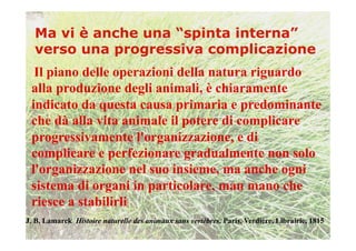 Il piano delle operazioni della natura riguardo
 alla produzione degli animali, è chiaramente
 indicato da questa causa primaria e predominante
 che dà alla vita animale il potere di complicare
 progressivamente l'organizzazione, e di
 complicare e perfezionare gradualmente non solo
 l'organizzazione nel suo insieme, ma anche ogni
 sistema di organi in particolare, man mano che
 riesce a stabilirli
J. B. Lamarck Histoire naturelle des animaux sans vertèbres. Paris, Verdière, Librairie, 1815
 