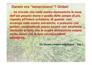 … ho trovato che nelle anatre domestiche le ossa
dell’ala pesano meno e quelle delle zampe di più,
rispetto all’intero scheletro, di quanto non
avvenga nelle anatre selvatiche, e presumo che
questo cambiamento possa essere con sicurezza
attribuito al fatto che le anatre domestiche volano
molto meno che le loro corrispondenti
selvatiche…

                     Ch. Darwin L’Origine delle Specie… Cap. I
 