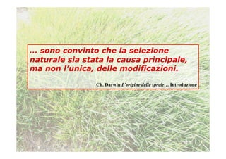 … sono convinto che la selezione
naturale sia stata la causa principale,
ma non l’unica, delle modificazioni.

                Ch. Darwin L’origine delle specie… Introduzione
 