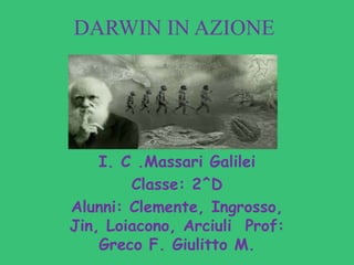 DARWIN IN AZIONE
I. C .Massari Galilei
Classe: 2^D
Alunni: Clemente, Ingrosso,
Jin, Loiacono, Arciuli Prof:
Greco F. Giulitto M.
 