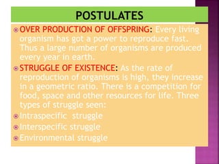  OVER PRODUCTION OF OFFSPRING: Every living
organism has got a power to reproduce fast.
Thus a large number of organisms are produced
every year in earth.
 STRUGGLE OF EXISTENCE: As the rate of
reproduction of organisms is high, they increase
in a geometric ratio. There is a competition for
food, space and other resources for life. Three
types of struggle seen:
 Intraspecific struggle
 Interspecific struggle
 Environmental struggle
 