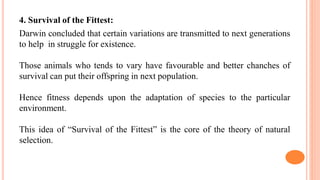 4. Survival of the Fittest:
Darwin concluded that certain variations are transmitted to next generations
to help in struggle for existence.
Those animals who tends to vary have favourable and better chanches of
survival can put their offspring in next population.
Hence fitness depends upon the adaptation of species to the particular
environment.
This idea of “Survival of the Fittest” is the core of the theory of natural
selection.
 