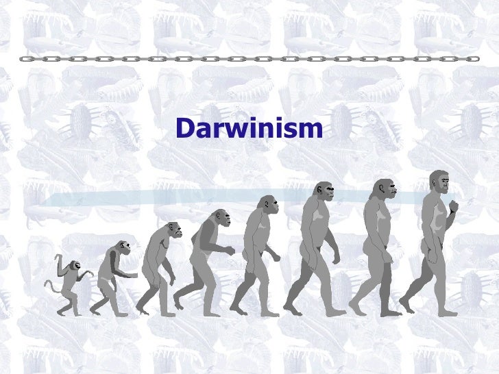 Darwinism (Feb 2009)