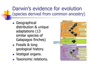 darwinism evolution bsc life sciences-overview.ppt