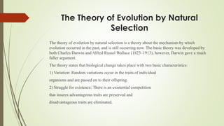 The Theory of Evolution by Natural
Selection
The theory of evolution by natural selection is a theory about the mechanism by which
evolution occurred in the past, and is still occurring now. The basic theory was developed by
both Charles Darwin and Alfred Russel Wallace (1823–1913), however, Darwin gave a much
fuller argument.
The theory states that biological change takes place with two basic characteristics:
1) Variation: Random variations occur in the traits of individual
organisms and are passed on to their offspring.
2) Struggle for existence: There is an existential competition
that insures advantageous traits are preserved and
disadvantageous traits are eliminated.
 