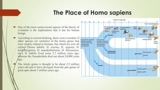 The Place of Homo sapiens
 One of the most controversial aspects of the theory of
evolution is the implications that it has for human
beings.
 According to current thinking, there were a number of
other species (or varieties) of the homo genus that
were closely related to humans, but which are now all
extinct (Homo habilis, H. erectus, H. ergaster, H.
heidelbergensis, H. neanderthalensis, H. floresiensis,
etc.). H. habilis lived some 2.3 million years ago,
whereas the Neanderthals died out about 24,000 years
ago.
 The whole genus is thought to be about 2.5 million
years old and to have diverged from the pan genus of
great apes about 5 million years ago.
 