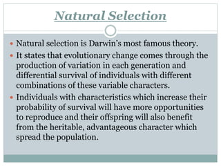 Natural Selection
 Natural selection is Darwin’s most famous theory.
 It states that evolutionary change comes through the
production of variation in each generation and
differential survival of individuals with different
combinations of these variable characters.
 Individuals with characteristics which increase their
probability of survival will have more opportunities
to reproduce and their offspring will also benefit
from the heritable, advantageous character which
spread the population.
 