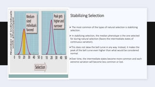 Darwinism and natural selection 7th zol.pptx