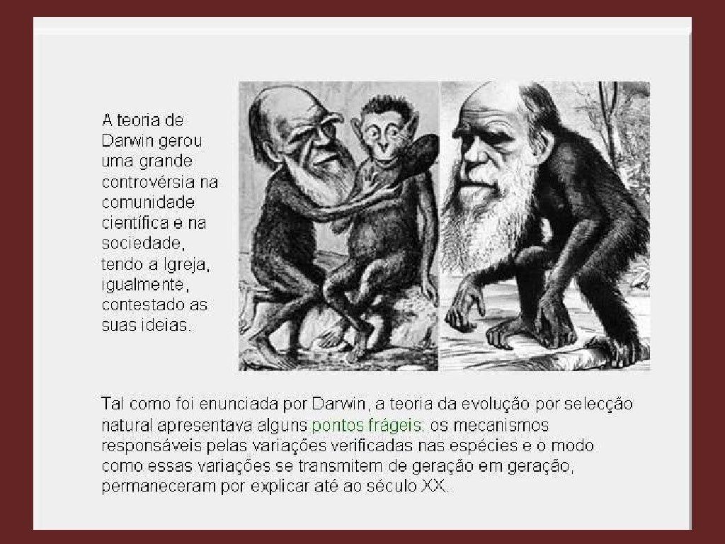 Darwinismo