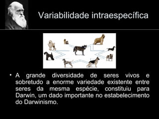 Variabilidade intraespecífica A grande diversidade de seres vivos e sobretudo a enorme variedade existente entre seres da mesma espécie, constituiu para Darwin, um dado importante no estabelecimento do Darwinismo. 