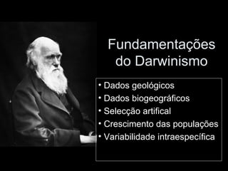 Fundamentações do Darwinismo Dados geológicos Dados biogeográficos Selecção artifical Crescimento das populações Variabilidade intraespecífica 