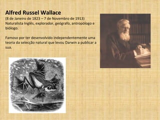 Alfred Russel Wallace (8 de Janeiro de 1823 – 7 de Novembro de 1913) Naturalista Inglês, explorador, geógrafo, antropólogo e biólogo. Famoso por ter desenvolvido independentemente uma teoria da selecção natural que levou Darwin a publicar a sua. 