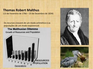 Thomas Robert Malthus (13 de Fevereiro de 1766 – 23 de Dezembro de 1834) Os recursos crescem de um modo aritmético e as populações de um modo exponencial. 