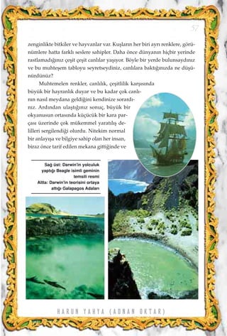 zenginlikte bitkiler ve hayvanlar var. Kuﬂlar›n her biri ayr› renklere, görü-
nümlere hatta farkl› seslere sahipler. Daha önce dünyan›n hiçbir yerinde
rastlamad›¤›n›z çeﬂit çeﬂit canl›lar yaﬂ›yor. Böyle bir yerde bulunsayd›n›z
ve bu muhteﬂem tabloyu seyretseydiniz, canl›lara bakt›¤›n›zda ne düﬂü-
nürdünüz?
Muhtemelen renkler, canl›l›k, çeﬂitlilik karﬂ›s›nda
büyük bir hayranl›k duyar ve bu kadar çok canl›-
n›n nas›l meydana geldi¤ini kendinize sorard›-
n›z. Ard›ndan ulaﬂt›¤›n›z sonuç, büyük bir
okyanusun ortas›nda küçücük bir kara par-
ças› üzerinde çok mükemmel yarat›l›ﬂ de-
lilleri sergilendi¤i olurdu. Nitekim normal
bir anlay›ﬂa ve bilgiye sahip olan her insan,
biraz önce tarif edilen mekana gitti¤inde ve
57
H A R U N Y A H Y A ( A D N A N O K T A R )
Sa¤ üst: Darwin'in yolculuk
yapt›¤› Beagle isimli geminin
temsili resmi
Altta: Darwin'in teorisini ortaya
att›¤› Galapagos Adalar›
 