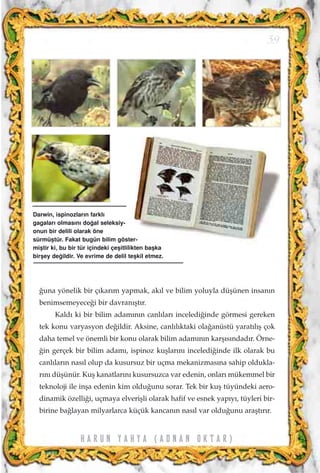 ¤una yönelik bir ç›kar›m yapmak, ak›l ve bilim yoluyla düﬂünen insan›n
benimsemeyece¤i bir davran›ﬂt›r.
Kald› ki bir bilim adam›n›n canl›lar› inceledi¤inde görmesi gereken
tek konu varyasyon de¤ildir. Aksine, canl›l›ktaki ola¤anüstü yarat›l›ﬂ çok
daha temel ve önemli bir konu olarak bilim adam›n›n karﬂ›s›ndad›r. Örne-
¤in gerçek bir bilim adam›, ispinoz kuﬂlar›n› inceledi¤inde ilk olarak bu
canl›lar›n nas›l olup da kusursuz bir uçma mekanizmas›na sahip oldukla-
r›n› düﬂünür. Kuﬂ kanatlar›n› kusursuzca var edenin, onlar› mükemmel bir
teknoloji ile inﬂa edenin kim oldu¤unu sorar. Tek bir kuﬂ tüyündeki aero-
dinamik özelli¤i, uçmaya elveriﬂli olarak hafif ve esnek yap›y›, tüyleri bir-
birine ba¤layan milyarlarca küçük kancan›n nas›l var oldu¤unu araﬂt›r›r.
59
H A R U N Y A H Y A ( A D N A N O K T A R )
Darwin, ispinozlar›n farkl›
gagalar› olmas›n› do¤al seleksiy-
onun bir delili olarak öne
sürmüﬂtür. Fakat bugün bilim göster-
miﬂtir ki, bu bir tür içindeki çeﬂitlilikten baﬂka
birﬂey de¤ildir. Ve evrime de delil teﬂkil etmez.
 