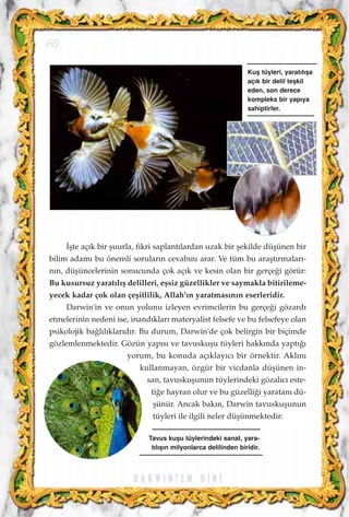 ‹ﬂte aç›k bir ﬂuurla, fikri saplant›lardan uzak bir ﬂekilde düﬂünen bir
bilim adam› bu önemli sorular›n cevab›n› arar. Ve tüm bu araﬂt›rmalar›-
n›n, düﬂüncelerinin sonucunda çok aç›k ve kesin olan bir gerçe¤i görür:
Bu kusursuz yarat›l›ﬂ delilleri, eﬂsiz güzellikler ve saymakla bitirileme-
yecek kadar çok olan çeﬂitlilik, Allah'›n yaratmas›n›n eserleridir.
Darwin'in ve onun yolunu izleyen evrimcilerin bu gerçe¤i gözard›
etmelerinin nedeni ise, inand›klar› materyalist felsefe ve bu felsefeye olan
psikolojik ba¤l›l›klar›d›r. Bu durum, Darwin'de çok belirgin bir biçimde
gözlemlenmektedir. Gözün yap›s› ve tavuskuﬂu tüyleri hakk›nda yapt›¤›
yorum, bu konuda aç›klay›c› bir örnektir. Akl›n›
kullanmayan, özgür bir vicdanla düﬂünen in-
san, tavuskuﬂunun tüylerindeki gözal›c› este-
ti¤e hayran olur ve bu güzelli¤i yaratan› dü-
ﬂünür. Ancak bak›n, Darwin tavuskuﬂunun
tüyleri ile ilgili neler düﬂünmektedir:
D A R W I N ‹ Z M D ‹ N ‹
60
Kuﬂ tüyleri, yarat›l›ﬂa
aç›k bir delil teﬂkil
eden, son derece
kompleks bir yap›ya
sahiptirler.
Tavus kuﬂu tüylerindeki sanat, yara-
t›l›ﬂ›n milyonlarca delilinden biridir.
 