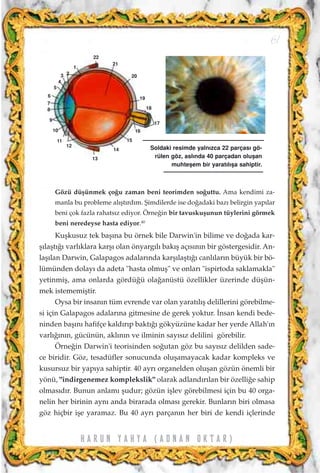 Gözü düﬂünmek ço¤u zaman beni teorimden so¤uttu. Ama kendimi za-
manla bu probleme al›ﬂt›rd›m. ﬁimdilerde ise do¤adaki baz› belirgin yap›lar
beni çok fazla rahats›z ediyor. Örne¤in bir tavuskuﬂunun tüylerini görmek
beni neredeyse hasta ediyor.40
Kuﬂkusuz tek baﬂ›na bu örnek bile Darwin'in bilime ve do¤ada kar-
ﬂ›laﬂt›¤› varl›klara karﬂ› olan önyarg›l› bak›ﬂ aç›s›n›n bir göstergesidir. An-
laﬂ›lan Darwin, Galapagos adalar›nda karﬂ›laﬂt›¤› canl›lar›n büyük bir bö-
lümünden dolay› da adeta "hasta olmuﬂ" ve onlar› "ispirtoda saklamakla"
yetinmiﬂ, ama onlarda gördü¤ü ola¤anüstü özellikler üzerinde düﬂün-
mek istememiﬂtir.
Oysa bir insan›n tüm evrende var olan yarat›l›ﬂ delillerini görebilme-
si için Galapagos adalar›na gitmesine de gerek yoktur. ‹nsan kendi bede-
ninden baﬂ›n› hafifçe kald›r›p bakt›¤› gökyüzüne kadar her yerde Allah'›n
varl›¤›n›n, gücünün, akl›n›n ve ilminin say›s›z delilini görebilir.
Örne¤in Darwin'i teorisinden so¤utan göz bu say›s›z delilden sade-
ce biridir. Göz, tesadüfler sonucunda oluﬂamayacak kadar kompleks ve
kusursuz bir yap›ya sahiptir. 40 ayr› organelden oluﬂan gözün önemli bir
yönü, "indirgenemez komplekslik" olarak adland›r›lan bir özelli¤e sahip
olmas›d›r. Bunun anlam› ﬂudur; gözün iﬂlev görebilmesi için bu 40 orga-
nelin her birinin ayn› anda birarada olmas› gerekir. Bunlar›n biri olmasa
göz hiçbir iﬂe yaramaz. Bu 40 ayr› parçan›n her biri de kendi içlerinde
61
H A R U N Y A H Y A ( A D N A N O K T A R )
20
19
18
17
16
15
14
13
12
11
10
9
8
7
6
5
4
3 2
1
22
21
Soldaki resimde yaln›zca 22 parças› gö-
rülen göz, asl›nda 40 parçadan oluﬂan
muhteﬂem bir yarat›l›ﬂa sahiptir.
 
