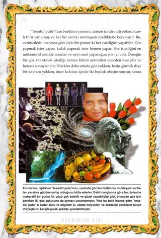 "Tesadüf putu" tüm bunlar›n yan›s›ra, zaman içinde milyonlarca can-
l› türü var etmiﬂ ve her bir canl›y› muhteﬂem özelliklerle bezemiﬂtir. Bu,
evrimcilerin inanc›na göre öyle bir puttur ki her istedi¤ini yapabilir. Göz
yapmak ister yapar, kulak yapmak ister hemen yapar. Her istedi¤ini en
mükemmel ﬂekilde tasarlar ve neyi nas›l yapaca¤›n› çok iyi bilir. Örne¤in
bir göz var etmek istedi¤i zaman bütün ayr›nt›lar› önceden hesaplar ve
hatas›z sonuçlar al›r. Nitekim daha ortada göz yokken, hatta görmek diye
bir kavram yokken, önce kafatas› içinde iki boﬂluk oluﬂturmuﬂtur, sonra
D A R W I N ‹ Z M D ‹ N ‹
70
Evrimciler, tapt›klar› "tesadüf putu"nun, resimde görülen bütün bu muhteﬂem varl›k-
lar› yaratma gücüne sahip oldu¤unu iddia ederler. Bat›l inançlar›na göre bu, öylesine
maharetli bir puttur ki, gözü çok estetik ve güzel yapabildi¤i gibi, önceden göz için
gereken iki göz çukurunu da açmay› unutmam›ﬂt›r. Yine bu bat›l inanca göre "tesa-
düf putu" o kadar ak›ll› ve bilgilidir ki, sözde meyveleri ve sebzeleri canl›lar›n bütün
ihtiyaçlar›n› karﬂ›layacak ﬂekilde yaratabilmiﬂtir.
 