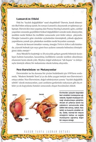 Lamarck'›n Etkisi
Peki bu "faydal› de¤iﬂiklikler" nas›l oluﬂabilirdi? Darwin, kendi dönemi-
nin ilkel bilim anlay›ﬂ› içinde, bu soruyu Lamarck'a dayanarak cevaplamaya ça-
l›ﬂm›ﬂt›. Darwin'den önce yaﬂam›ﬂ olan Frans›z biyolog Lamarck'a göre, canl›lar
yaﬂamlar› s›ras›nda geçirdikleri fiziksel de¤iﬂiklikleri sonraki nesle aktar›yorlar,
nesilden nesile biriken bu özellikler sonucunda yeni türler ortaya ç›k›yordu.
Örne¤in Lamarck'a göre zürafalar ceylanlardan türemiﬂlerdi, yüksek a¤açlar›n
yapraklar›n› yemek için çabalarken nesilden nesile boyunlar› uzam›ﬂt›.
Darwin de benzeri örnekler vermiﬂ, örne¤in Türlerin Kökeni adl› kitab›n-
da, yiyecek bulmak için suya giren baz› ay›lar›n zamanla balinalara dönüﬂtü-
¤ünü iddia etmiﬂti.63
Ama Mendel'in keﬂfetti¤i ve 20.yüzy›lda geliﬂen genetik bilimiyle kesin-
leﬂen kal›t›m kanunlar›, kazan›lm›ﬂ özelliklerin sonraki nesillere aktar›lmas›
efsanesini kesin olarak y›kt›. Böylece do¤al seleksiyon "tek baﬂ›na" ve dolay›-
s›yla tümüyle etkisiz bir mekanizma olarak kalm›ﬂ oluyordu.
Neo-Darwinizm ve Mutasyonlar
Darwinistler ise bu duruma bir çözüm bulabilmek için 1930'lar›n sonla-
r›nda, "Modern Sentetik Teori"yi ya da daha yayg›n ismiyle neo-Darwinizm'i
ortaya att›lar. Neo-Darwinizm, do¤al seleksiyonun yan›na "faydal› de¤iﬂiklik
sebebi" olarak mutasyonlar›, yani canl›lar›n genlerinde radyasyon gibi d›ﬂ et-
kiler ya da kopyalama hatalar› sonucunda oluﬂan bozulmalar› ekledi.
97
H A R U N Y A H Y A ( A D N A N O K T A R )
anten
gözler
a¤›z
bacak
Evrimciler yüzy›l›n baﬂ›ndan
beri sinekleri mutasyona u¤-
ratarak, faydal› mutasyon ör-
ne¤i oluﬂturmaya çal›ﬂt›lar.
Ancak on y›llarca süren bu
çabalar›n sonucunda elde
edilen tek sonuç, sakat, has-
tal›kl› ve kusurlu sinekler ol-
du. Üstte, normal bir meyve
sine¤inin kafas› ve sa¤da
mutasyona u¤ram›ﬂ di¤er
bir meyve sine¤i.
 