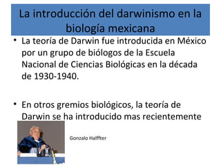 La introducción del darwinismo en la
biología mexicana
• La teoría de Darwin fue introducida en México
por un grupo de biólogos de la Escuela
Nacional de Ciencias Biológicas en la década
de 1930-1940.
• En otros gremios biológicos, la teoría de
Darwin se ha introducido mas recientemente
Gonzalo Halffter
 