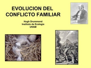 EVOLUCION DEL
CONFLICTO FAMILIAR
Hugh Drummond
Instituto de Ecología
UNAM
 